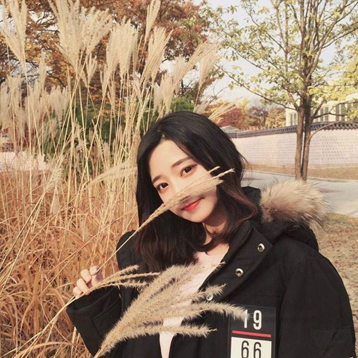 落合扶树（饰 水岛） - 热门美剧全集在线观看 - 在线追剧
